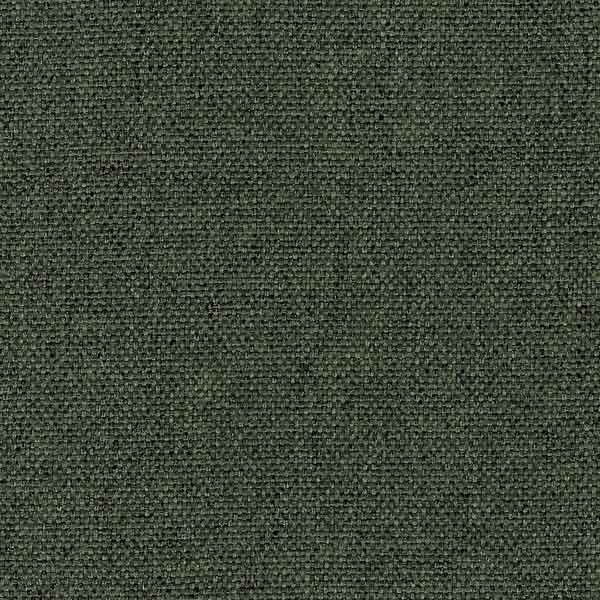 Eucalyptus-E1938
