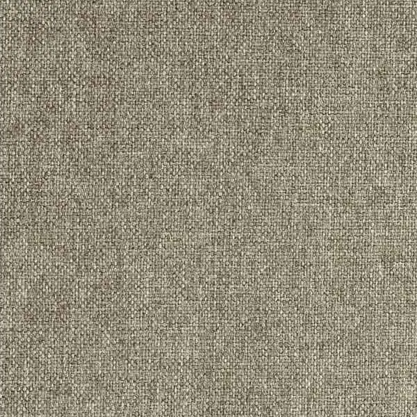 Shitake-S1248